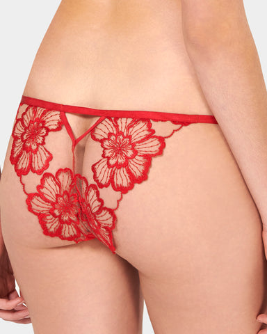 Catalina Brief Red/Sheer